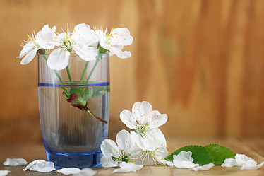 Similar image 10536290