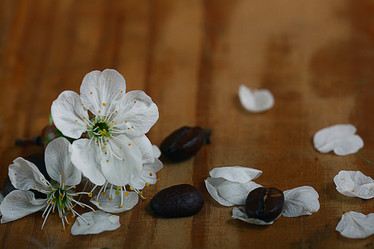 Similar image 10536292