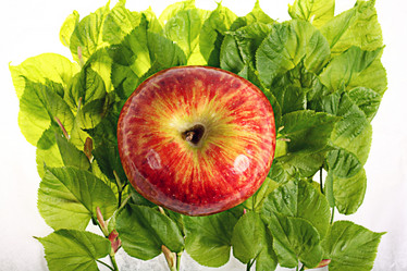 Similar image 10536305