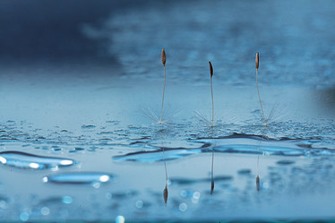 Similar image 10536310