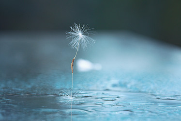 Similar image 10536311