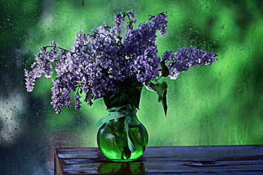 Similar image 10536313