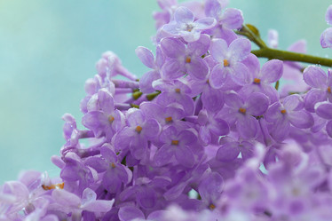 Similar image 10536315