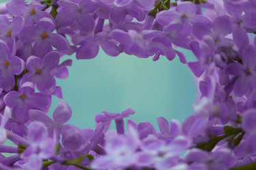 Similar image 10536316