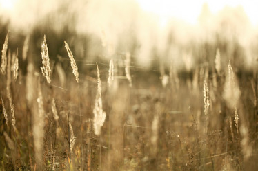 Similar image 10536323