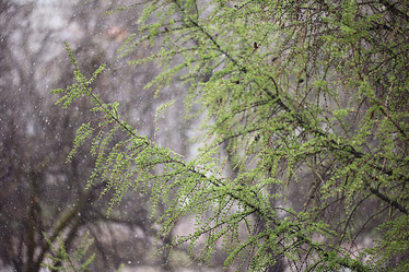 Similar image 10536330