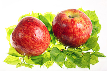 Similar image 10536370