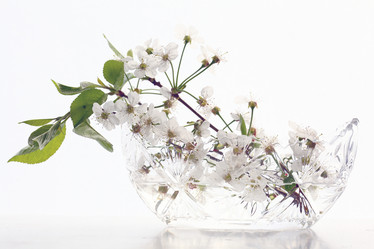 Similar image 10536372