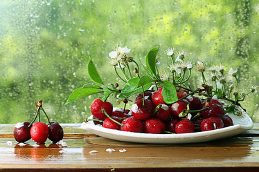 Similar image 10536374