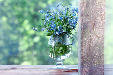 Similar image 10536380