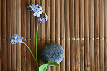 Similar image 10536385