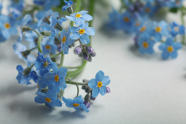 Similar image 10536388