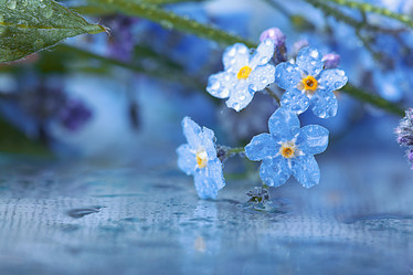 Similar image 10536389