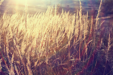 Similar image 10536426