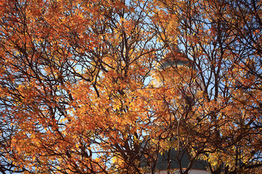 Similar image 10536429