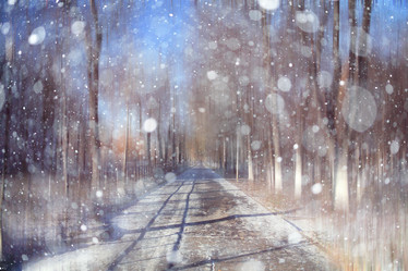 Similar image 10536430