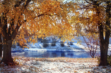 Similar image 10536434