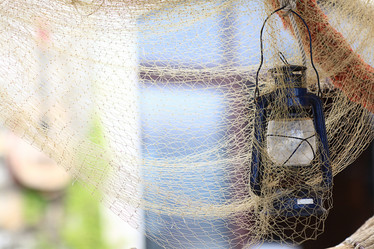 Similar image 10536436