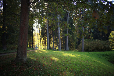 Similar image 10536438