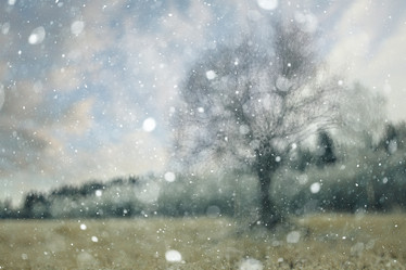 Similar image 10536467