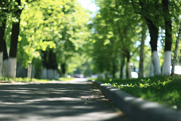 Similar image 10536470