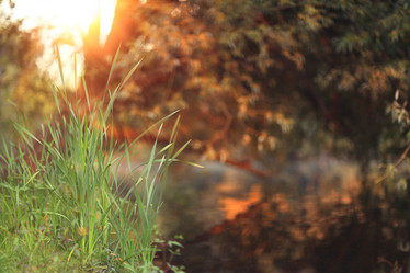 Similar image 10536482