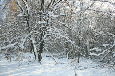 Similar image 10536512