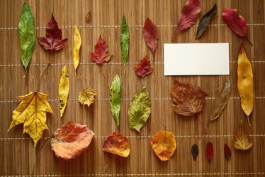 Similar image 10536517