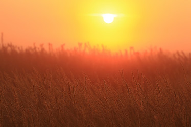 Similar image 10536527