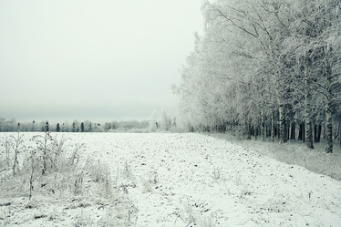 Similar image 10536528