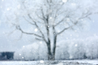 Similar image 10536529