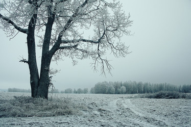 Similar image 10536530