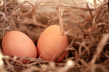 Similar image 10536544