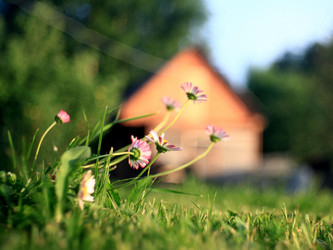 Similar image 10536558