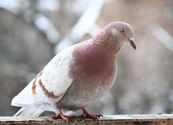 Similar image 10536564