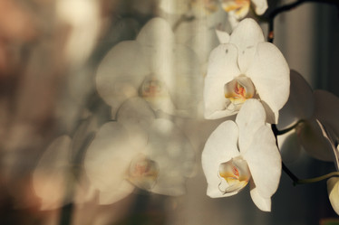 Similar image 10536566