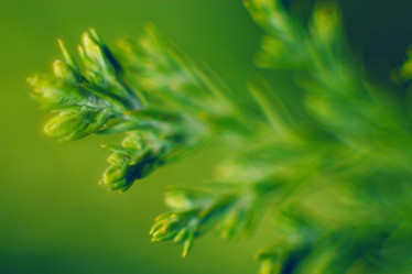 Similar image 10536575