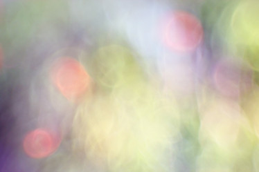 Similar image 10536590