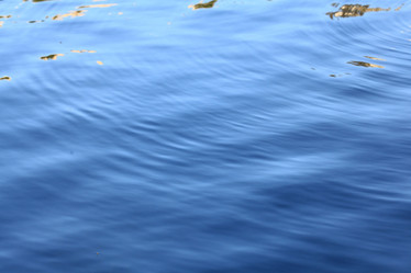 Similar image 10536602