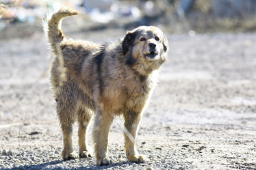 Similar image 10536616