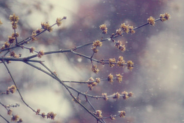 Similar image 10536630