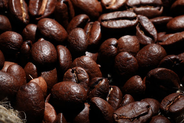 Similar image 10536655