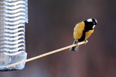 Similar image 10536658