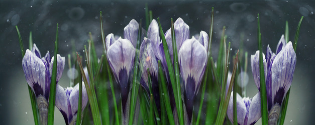 Similar image 10536659