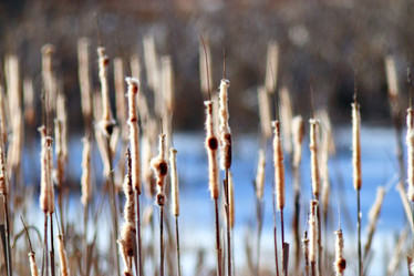 Similar image 10536663