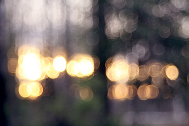 Similar image 10536703