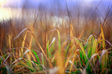 Similar image 10536704