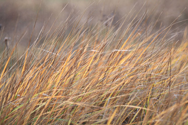 Similar image 10536705