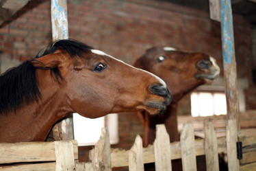 Similar image 10536710