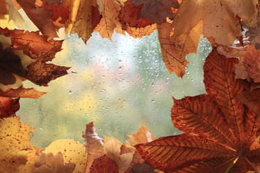 Similar image 10536732